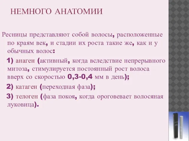 НЕМНОГО АНАТОМИИ Ресницы представляют собой волосы, расположенные по краям век, и стадии