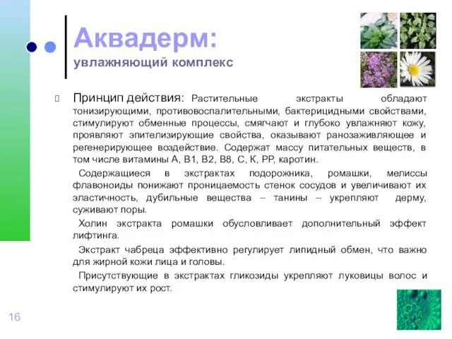 Аквадерм: увлажняющий комплекс Принцип действия: Растительные экстракты обладают тонизирующими, противовоспалительными, бактерицидными свойствами,