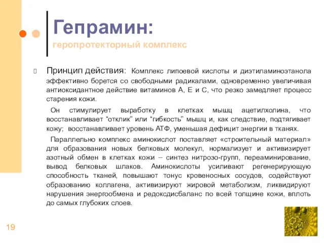 Гепрамин: геропротекторный комплекс Принцип действия: Комплекс липоевой кислоты и диэтиламиноэтанола эффективно борется