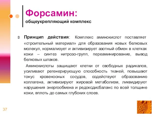 Форсамин: общеукрепляющий комплекс Принцип действия: Комплекс аминокислот поставляет «строительный материал» для образования