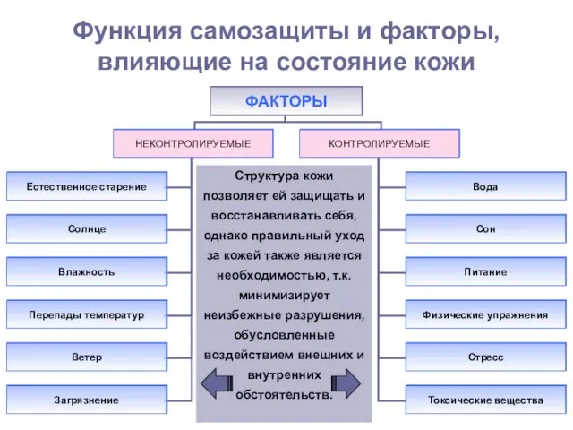 Структура кожи позволяет ей защищать и восстанавливать себя, однако правильный уход за