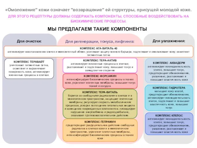 «Омоложение" кожи означает "возвращение" ей структуры, присущей молодой коже. ДЛЯ ЭТОГО РЕЦЕПТУРЫ