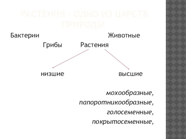 РАСТЕНИЯ - ОДНО ИЗ ЦАРСТВ ПРИРОДЫ Бактерии Животные Грибы Растения низшие высшие мохообразные, папоротникообразные, голосеменные, покрытосеменные,