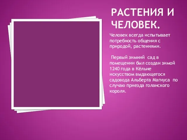 РАСТЕНИЯ И ЧЕЛОВЕК. Человек всегда испытывает потребность общения с природой, растениями. Первый