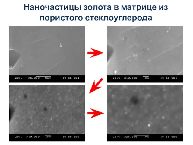 Наночастицы золота в матрице из пористого стеклоуглерода