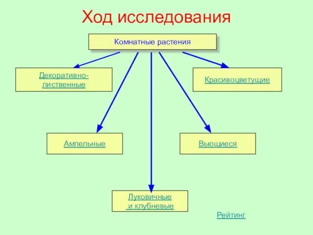 Ход исследования Комнатные растения Декоративно-лиственные Красивоцветущие Ампельные Вьющиеся Луковичные и клубневые Рейтинг