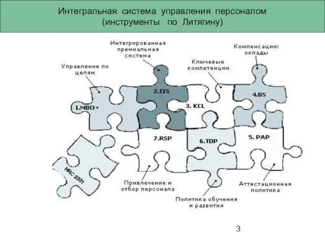 Интегральная система управления персоналом (инструменты по Литягину)