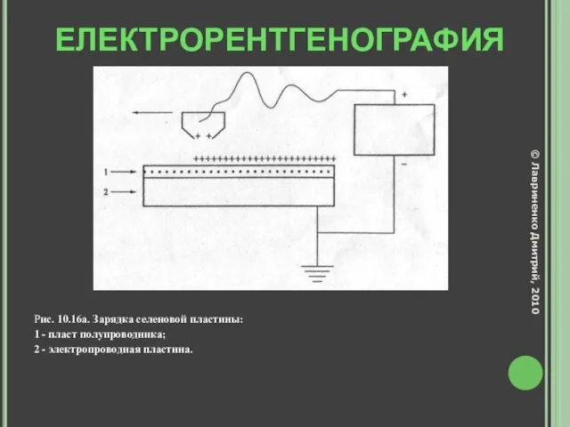 ЕЛЕКТРОРЕНТГЕНОГРАФИЯ Рис. 10.16а. Зарядка селеновой пластины: 1 - пласт полупроводника; 2 -