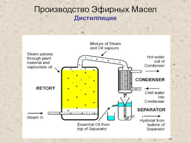 Производство Эфирных Масел Дистилляция