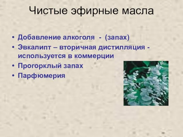 Чистые эфирные масла Добавление алкоголя - (запах) Эвкалипт – вторичная дистилляция -