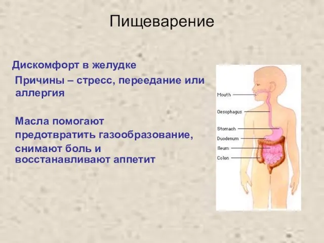 Пищеварение Дискомфорт в желудке Причины – стресс, переедание или аллергия Масла помогают