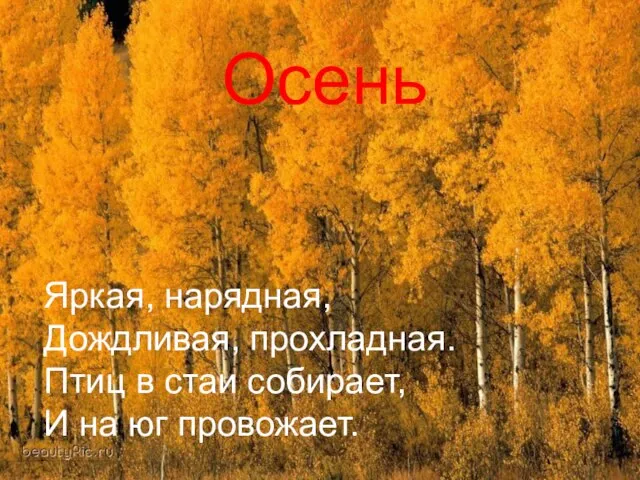 Осень Яркая, нарядная, Дождливая, прохладная. Птиц в стаи собирает, И на юг провожает.