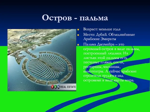 Остров - пальма Возраст: меньше года Место: Дубай. Объединённые Арабские Эмираты Пальма