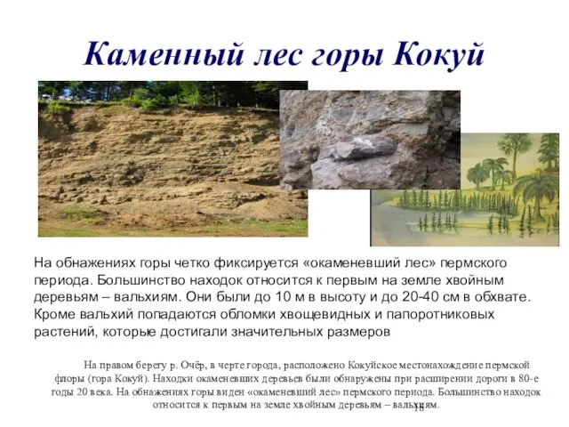 Каменный лес горы Кокуй На обнажениях горы четко фиксируется «окаменевший лес» пермского