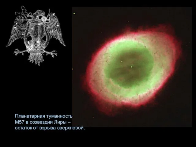Планетарная туманность М57 в созвездии Лиры – остаток от взрыва сверхновой.