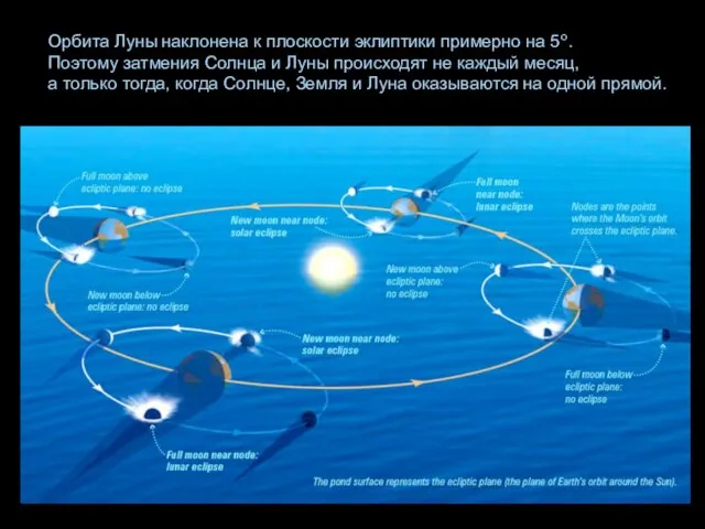 Орбита Луны наклонена к плоскости эклиптики примерно на 5о. Поэтому затмения Солнца