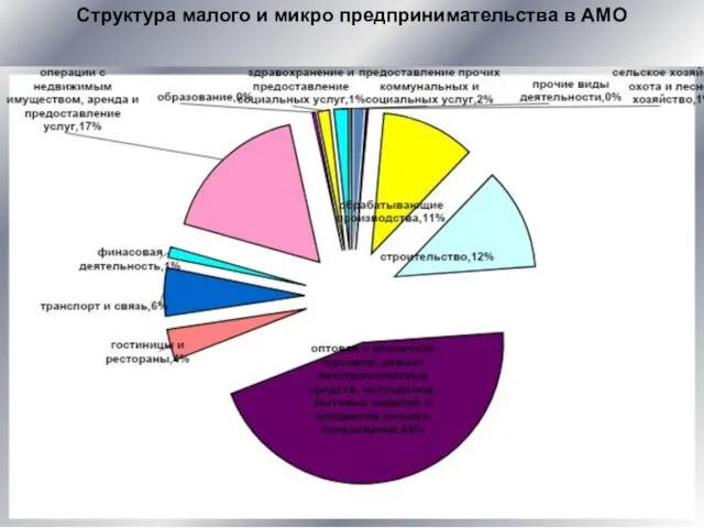 Структура малого и микро предпринимательства в АМО