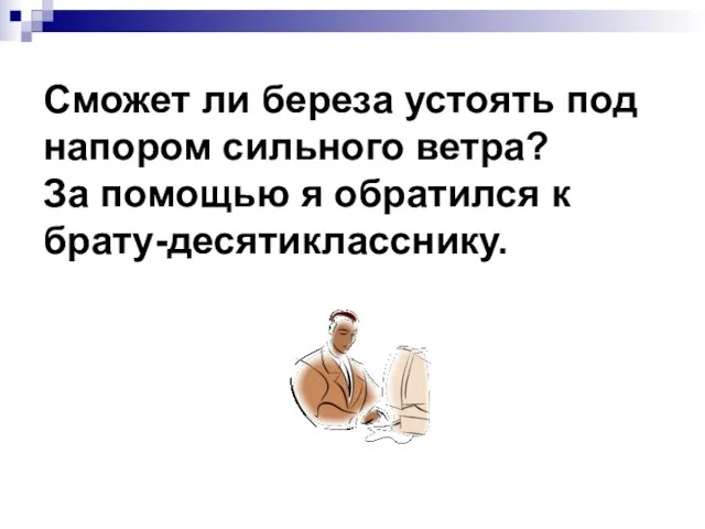 Сможет ли береза устоять под напором сильного ветра? За помощью я обратился к брату-десятикласснику.