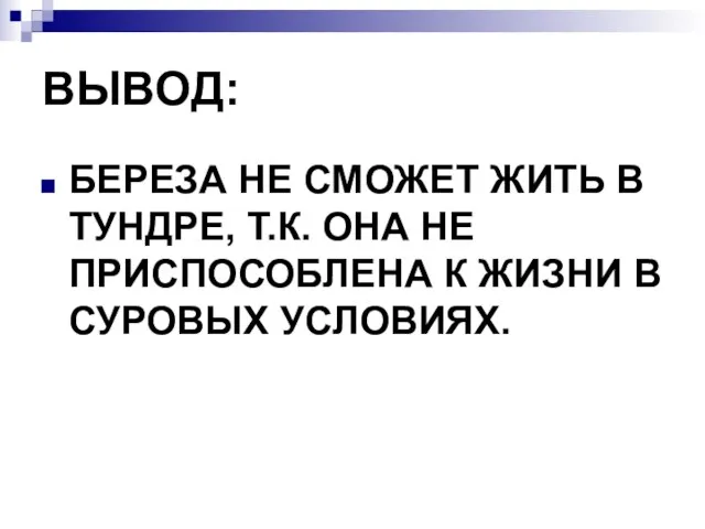 ВЫВОД: БЕРЕЗА НЕ СМОЖЕТ ЖИТЬ В ТУНДРЕ, Т.К. ОНА НЕ ПРИСПОСОБЛЕНА К ЖИЗНИ В СУРОВЫХ УСЛОВИЯХ.