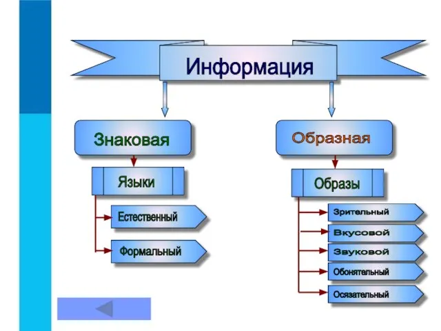 Знаковая Информация Образная Языки Образы Естественный Формальный Зрительный Вкусовой Звуковой Обонятельный Осязательный