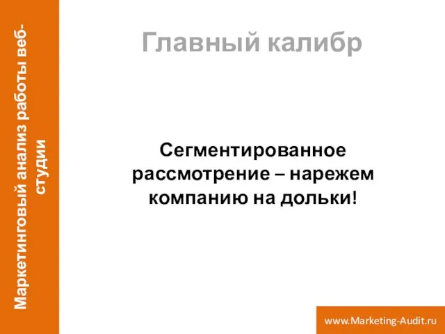 Главный калибр Сегментированное рассмотрение – нарежем компанию на дольки! Маркетинговый анализ работы веб-студии www.Marketing-Audit.ru