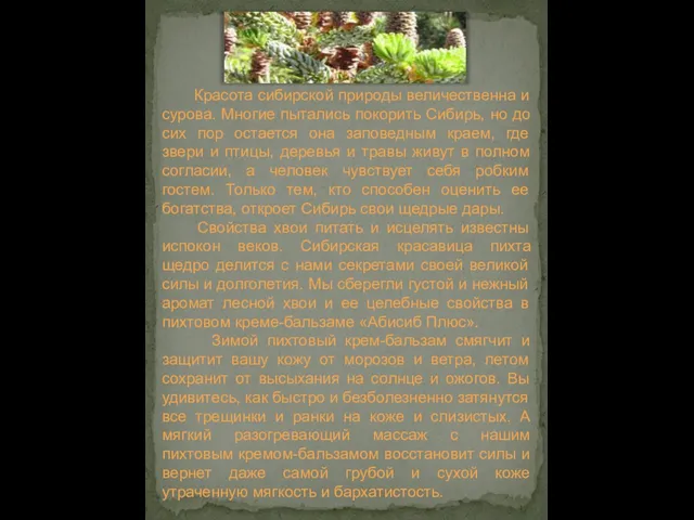 Красота сибирской природы величественна и сурова. Многие пытались покорить Сибирь, но до