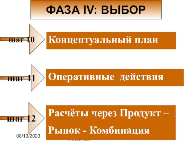 08/13/2023 DR. Jan M Van Westerlaak ФАЗА IV: ВЫБОР шаг 10 Концептуальный