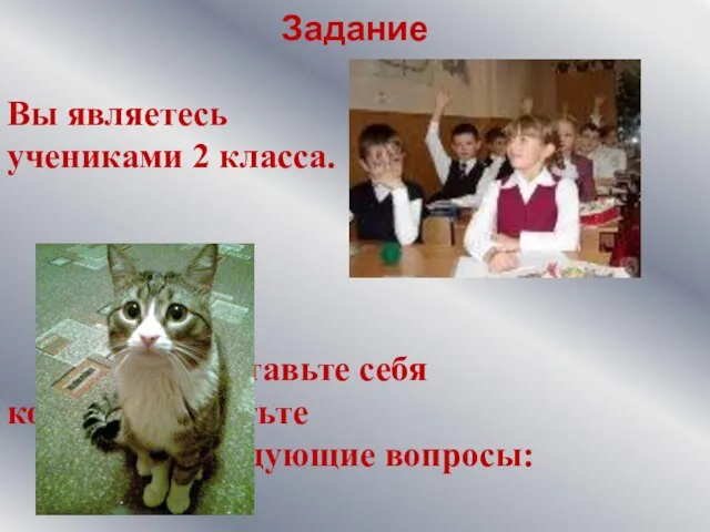 Задание Вы являетесь учениками 2 класса. Представьте себя кошкой и ответьте на следующие вопросы: