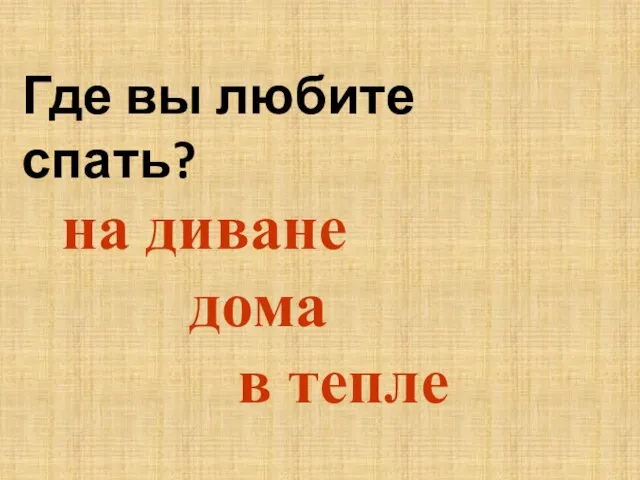 Где вы любите спать? на диване дома в тепле