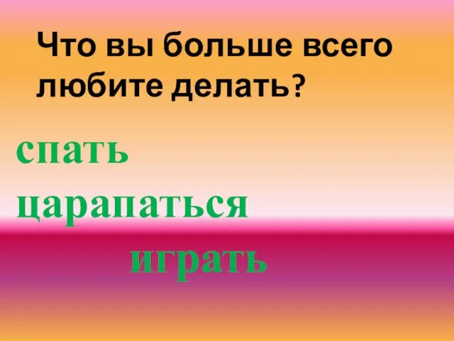 Что вы больше всего любите делать? спать царапаться играть