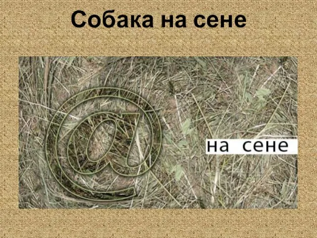 Собака на сене