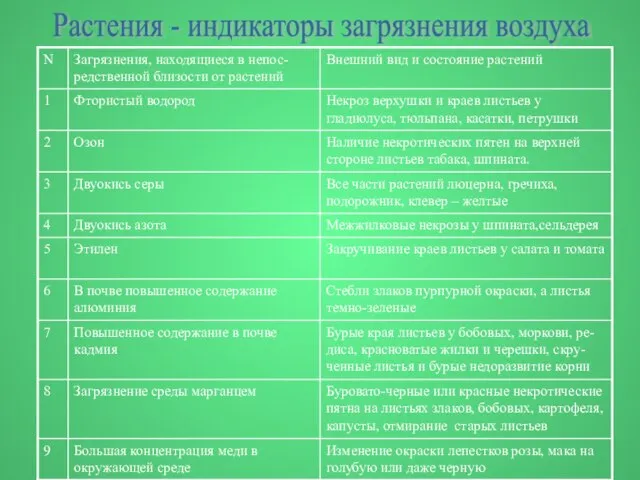 Растения - индикаторы загрязнения воздуха