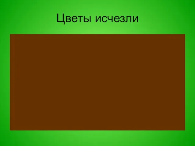 Цветы исчезли