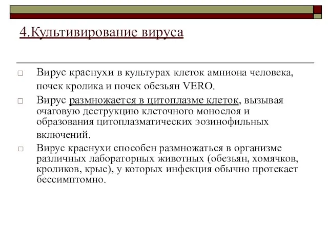 4.Культивирование вируса Вирус краснухи в культурах клеток амниона человека, почек кролика и