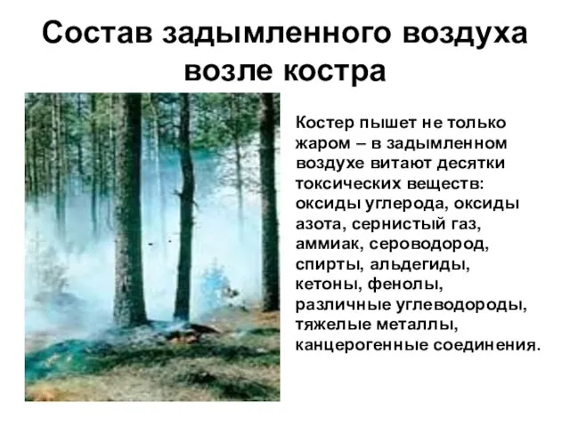 Состав задымленного воздуха возле костра Костер пышет не только жаром – в