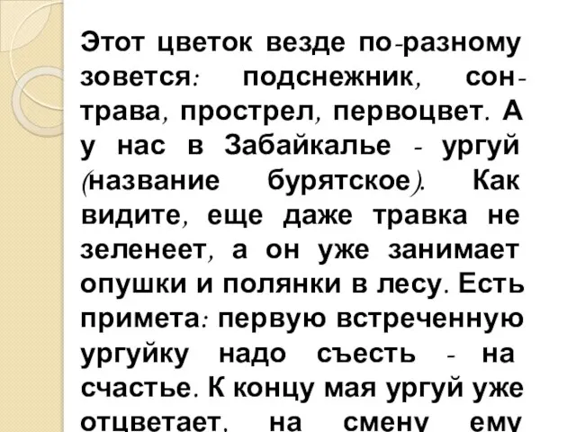 Этот цветок везде по-разному зовется: подснежник, сон-трава, прострел, первоцвет. А у нас