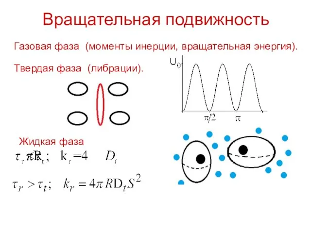 Вращательная подвижность Газовая фаза (моменты инерции, вращательная энергия). Твердая фаза (либрации). Жидкая фаза