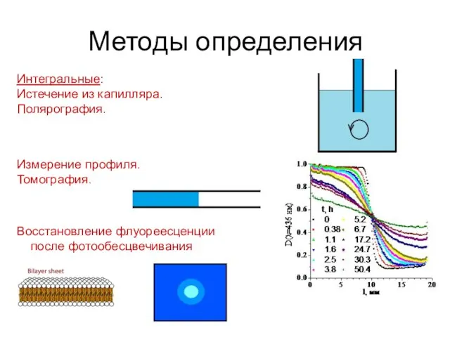 Методы определения Интегральные: Истечение из капилляра. Полярография. Измерение профиля. Томография. Восстановление флуореесценции после фотообесцвечивания