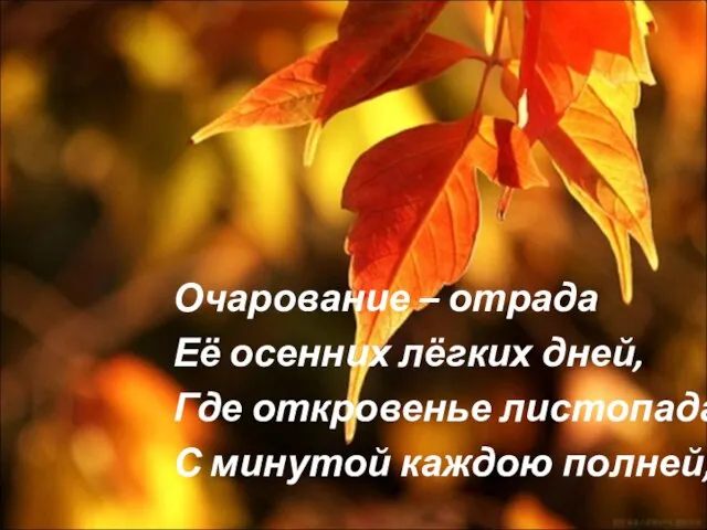 Очарование – отрада Её осенних лёгких дней, Где откровенье листопада С минутой каждою полней,