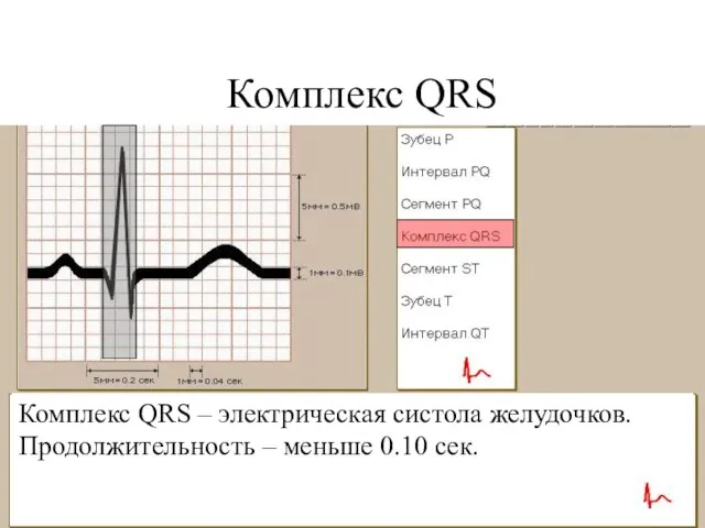 Комплекс QRS Комплекс QRS – электрическая систола желудочков. Продолжительность – меньше 0.10 сек.