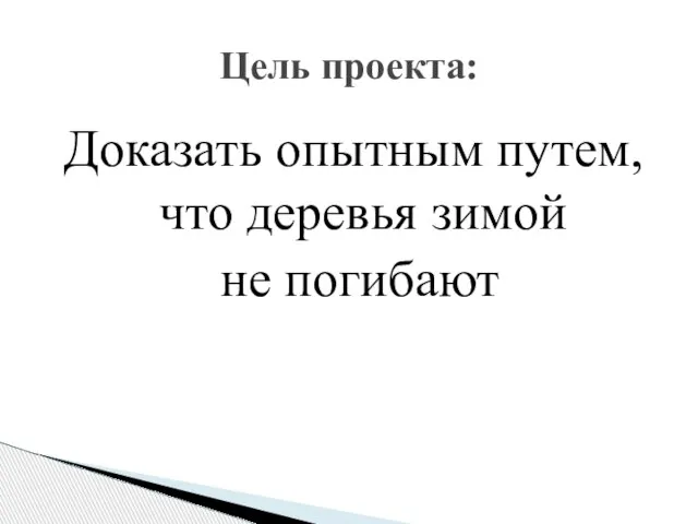 Доказать опытным путем, что деревья зимой не погибают Цель проекта: