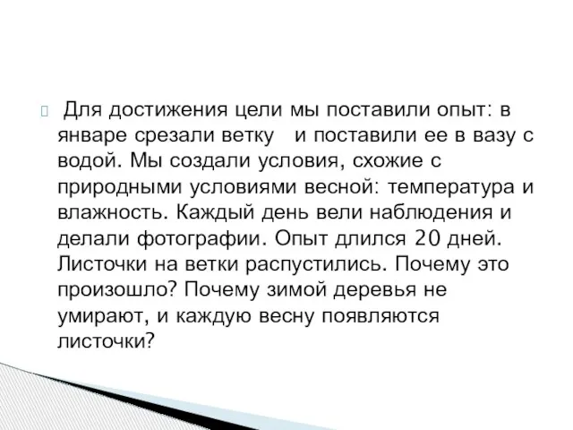 Для достижения цели мы поставили опыт: в январе срезали ветку и поставили