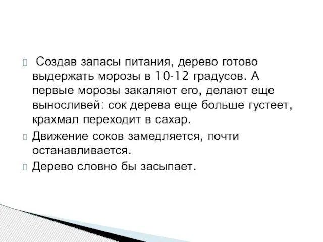 Создав запасы питания, дерево готово выдержать морозы в 10-12 градусов. А первые