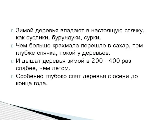 Зимой деревья впадают в настоящую спячку, как суслики, бурундуки, сурки. Чем больше