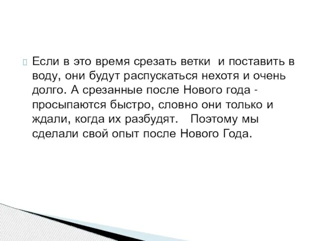 Если в это время срезать ветки и поставить в воду, они будут