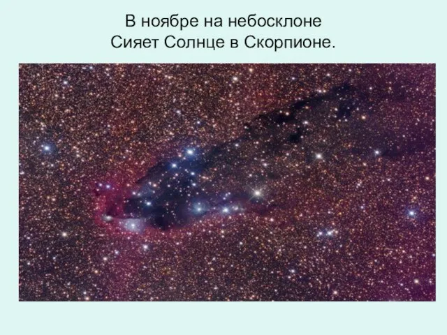 В ноябре на небосклоне Сияет Солнце в Скорпионе.