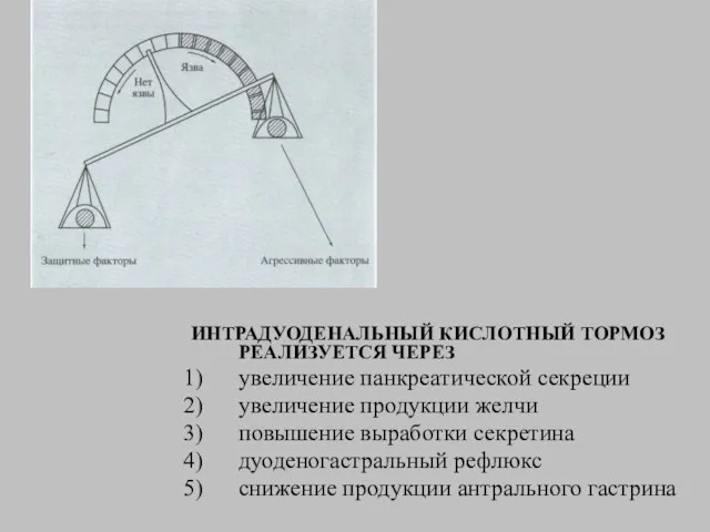 ИНТРАДУОДЕНАЛЬНЫЙ КИСЛОТНЫЙ ТОРМОЗ РЕАЛИЗУЕТСЯ ЧЕРЕЗ увеличение панкреатической секреции увеличение продукции желчи повышение