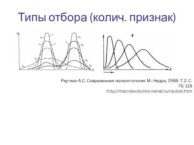 Типы отбора (колич. признак) Раутиан А.С. Современная палеонтология. М.: Недра, 1988. Т.2. С. 76-118 http://macroevolution.narod.ru/rautian.htm