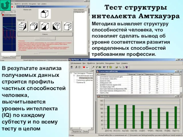 Тест структуры интеллекта Амтхауэра Методика выявляет структуру способностей человека, что позволяет сделать