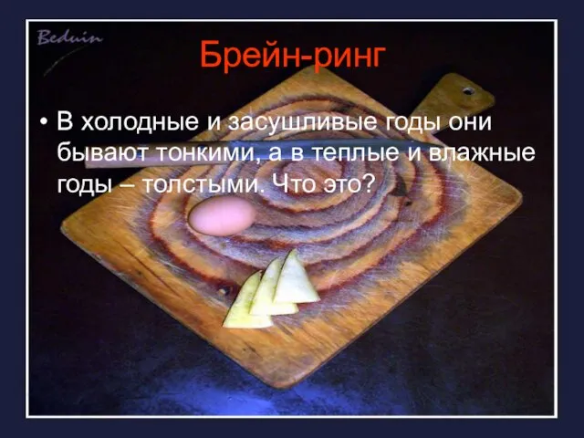 Брейн-ринг В холодные и засушливые годы они бывают тонкими, а в теплые